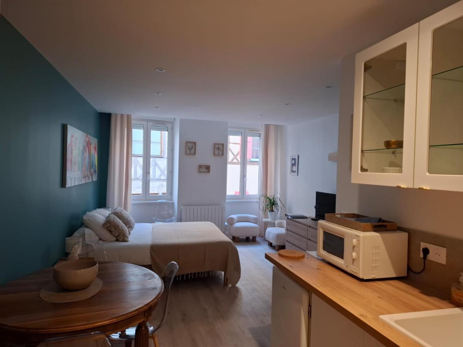 Studio Centre Macon Place Aux Herbes Zewnętrze zdjęcie